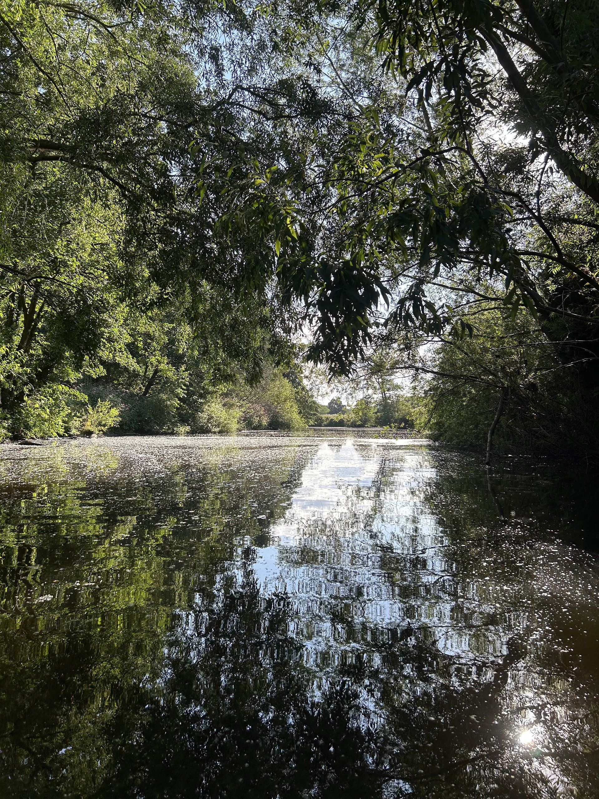 Hidden among towering trees and wild greenery, this riverside sauna feels like stepping into another world. 