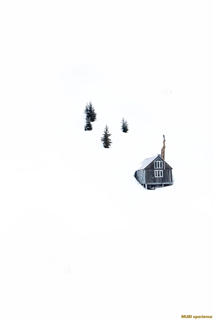 photomubixperiencesnowcatskigeorgierichardpermin8