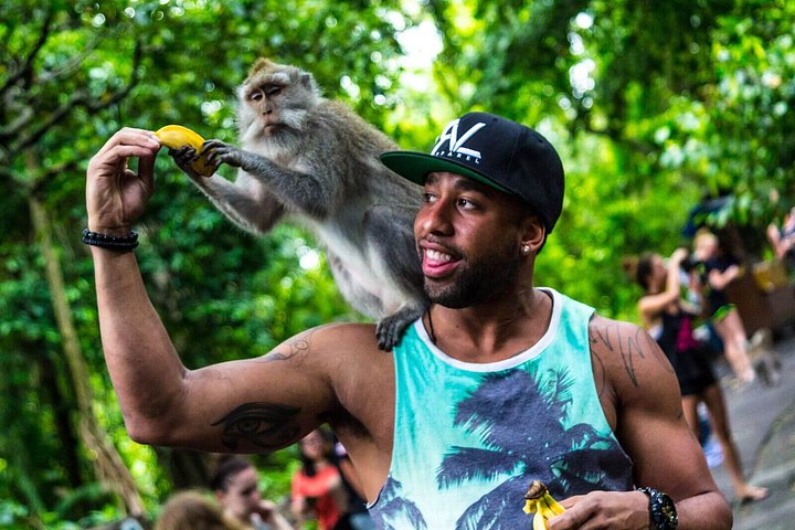 guy feeding a monkey on his shoulder a banana in ubud bali monkey forest