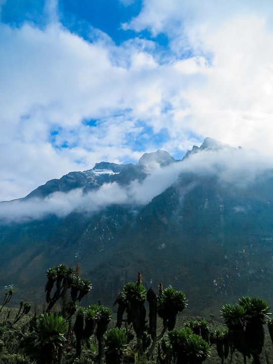 Explore a Breathtaking Environment