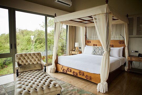 Single Room (Queen or King)