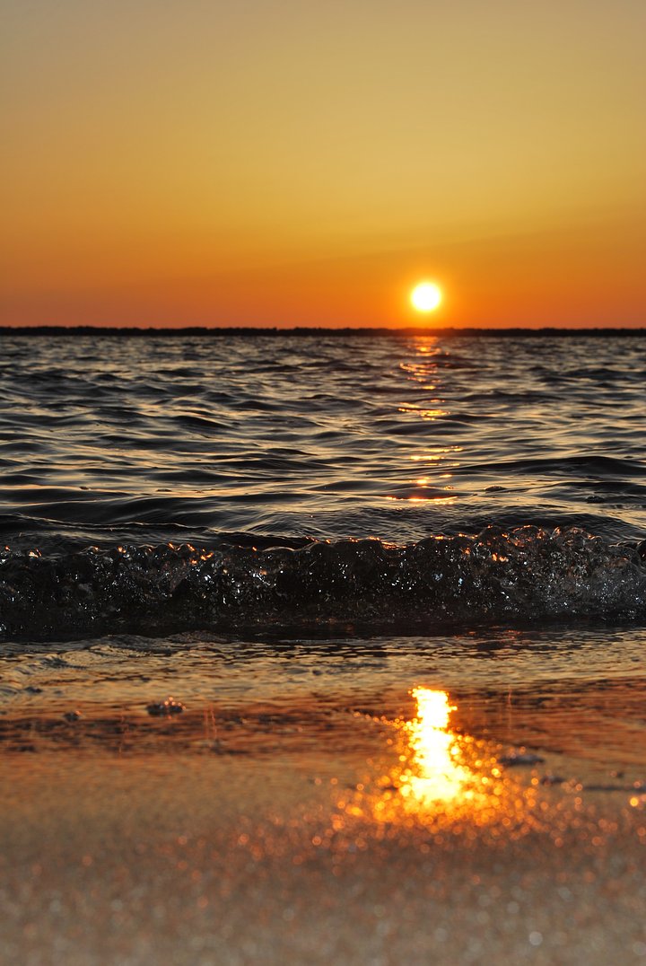 sunriserachelcookmOcdke2ZQoEunsplash