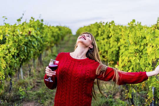 Women in Wine - Napa & Sonoma