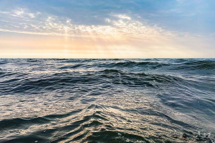 robertkatzkiJ6OURcqeNZ4unsplash