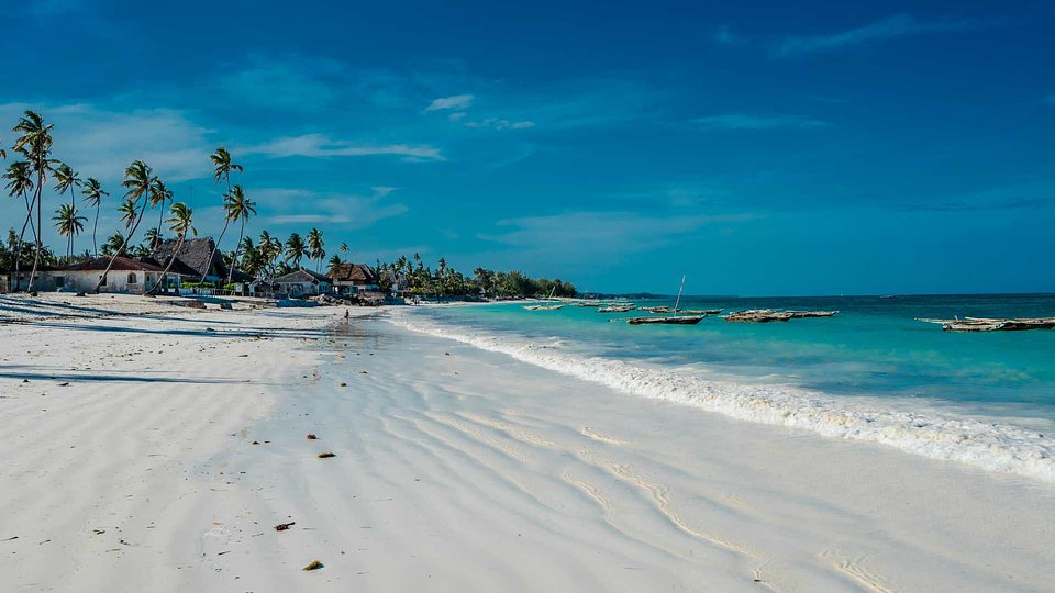 Palms and a wide beach on Zanzibar