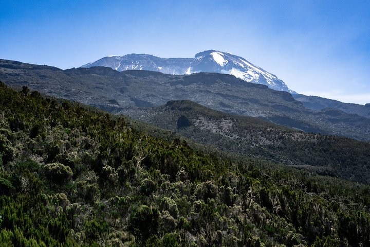 Kiliforestmin