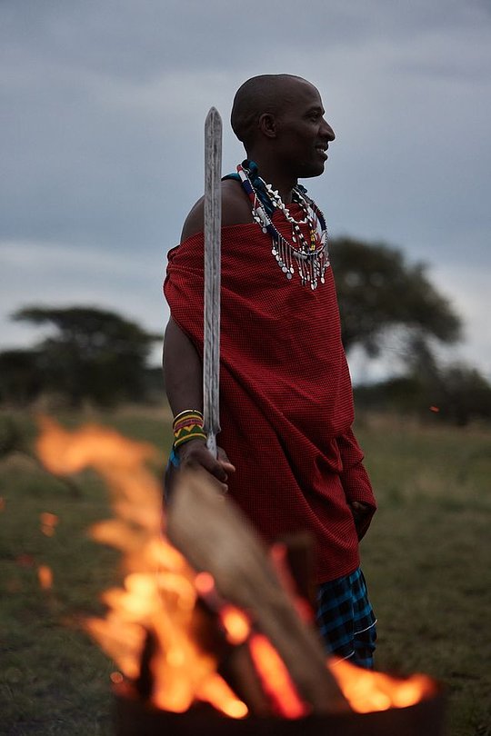 Serengeti Dreams 2027: A Luxury Safari & Wellness Escape