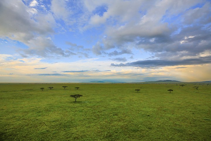 TheresaTaylerSerengeti202220220612at7.16.57PM3