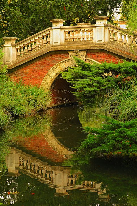 iStock1086357576
