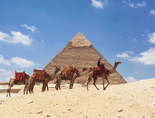 See the Sphinx and the Great Pyramid of Giza, one of the 7 wonders of the ancient world