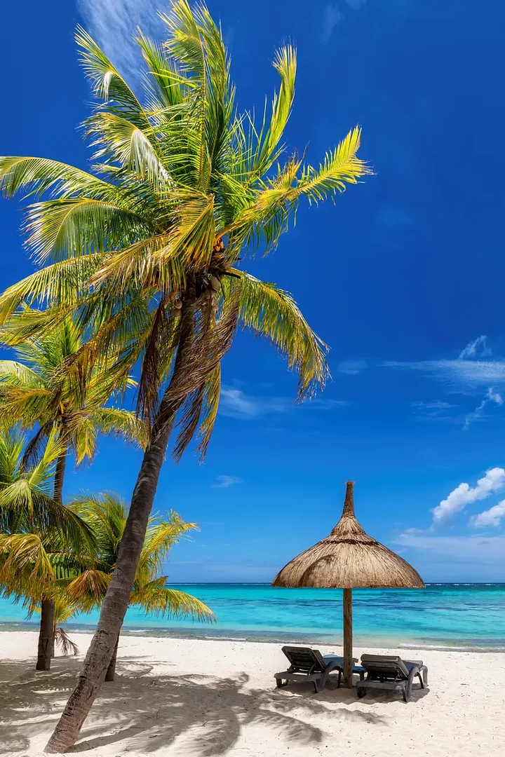 iStock1365562826