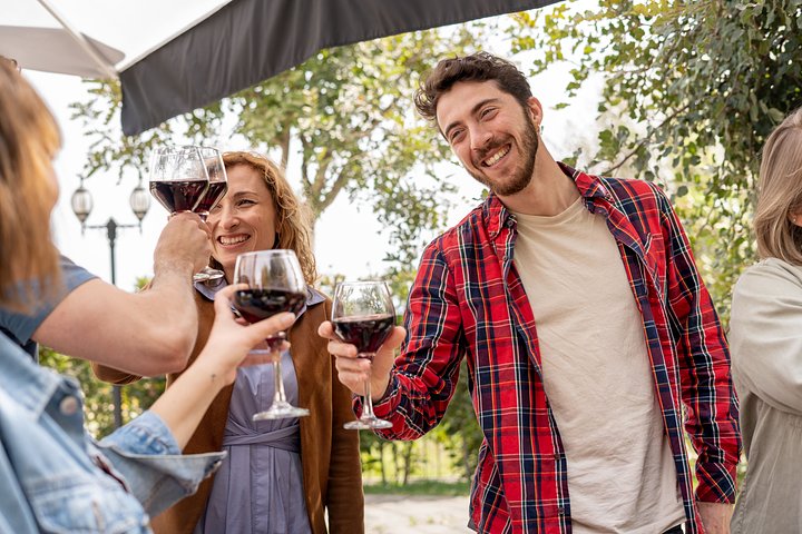 groupofsmilingfriendsdrinkingredwineinthe20241204091100utc