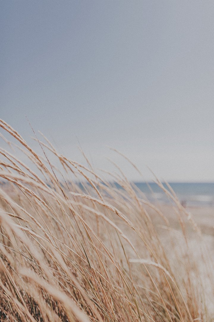 angelopantazisWCjqxZdLXcAunsplash