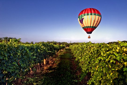 Hot Air Balloon Ride 