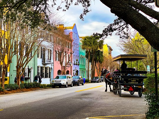 Charming Charleston for the Holidays