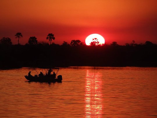Immerse yourself in the tranquility of the Zambezi River with a sunset cruise