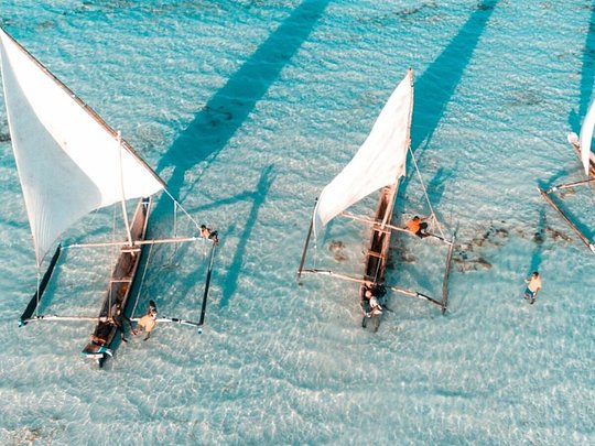 Zanzibar Dreaming tour with Mustafa Briggs