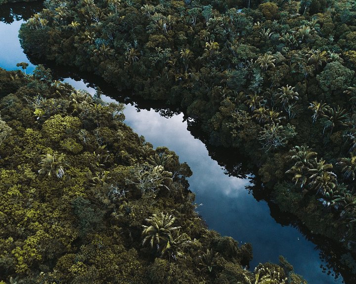 UnsettledAmazonAdventure