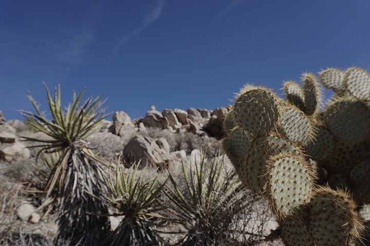 Writer's Desert Retreat - Novels & Short Stories