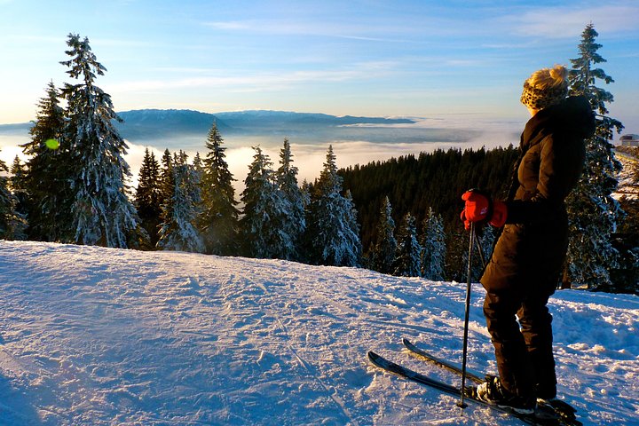 skiiNL