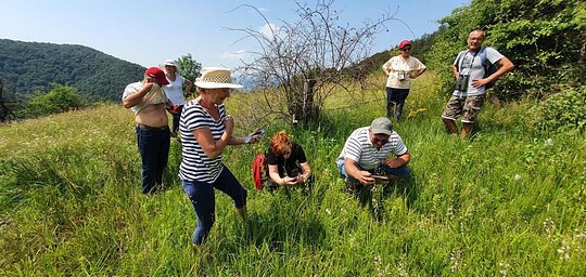 Included: Wildflower guided tour and natural remedie workshop