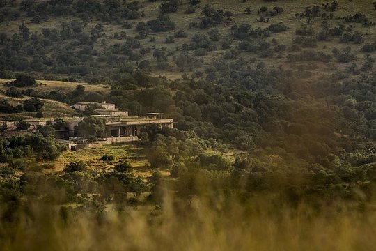 A Haven of Design Excellence, Nature Connection, and Conservation Innovation in Kenya