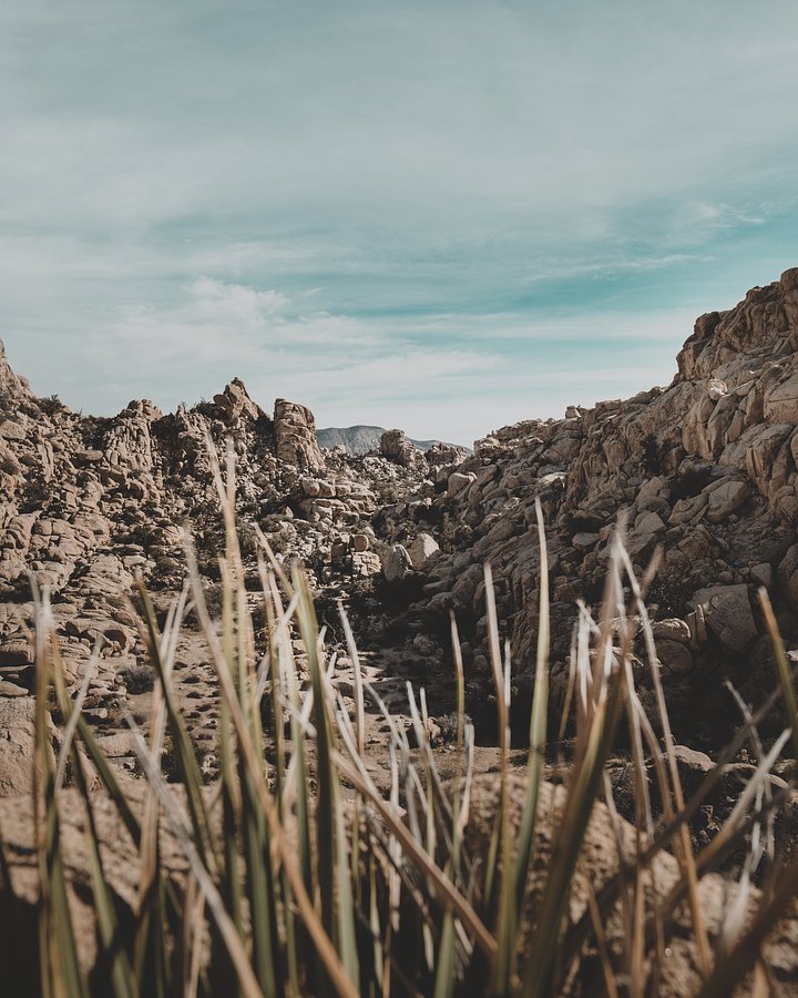 danedeanerzJTPSsScnGgunsplash