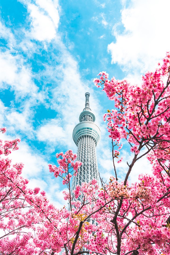 iStock1487086569