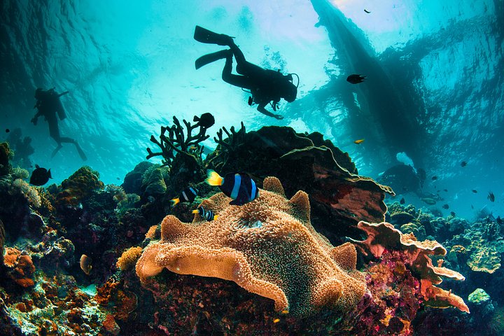 Scuba Diving Open Water Course