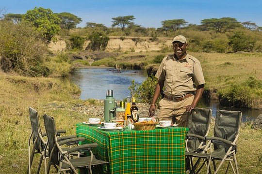 Savor the Wild: Exquisite Picnic Experience