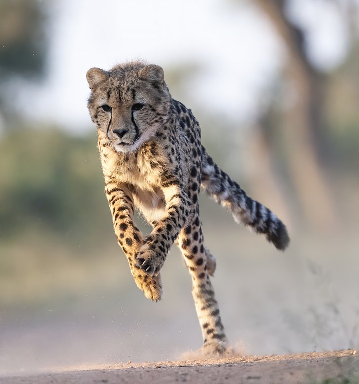 iStock1207389525
