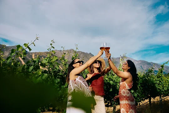 Sip some spectacular vinos in the Cape Winelands