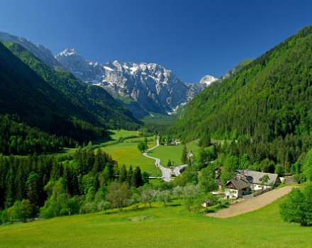 Scenery