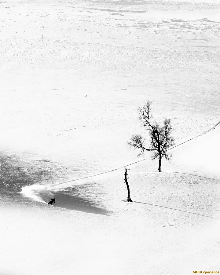 photomubixperiencesnowcatskigeorgierichardpermin1