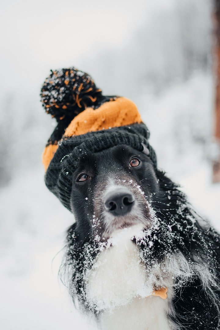 tadeuszlakotaeV_iPlkHwgQunsplash