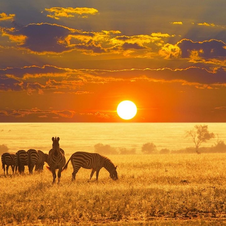Namibiaetoshanationalpark