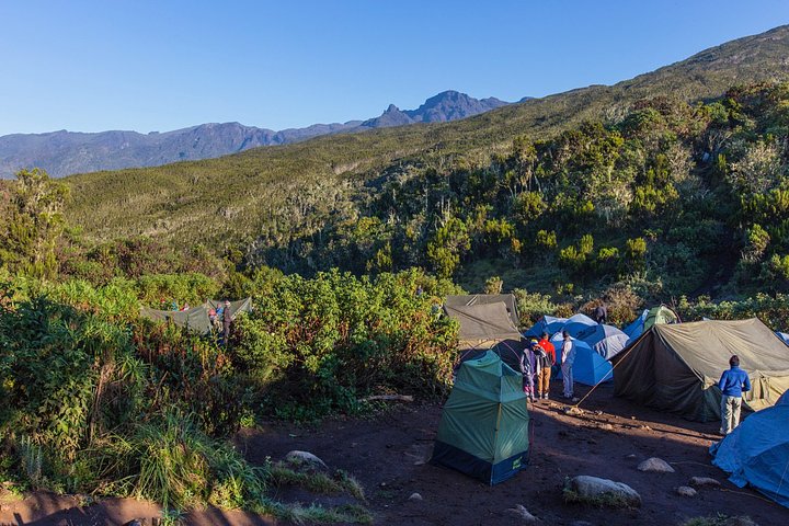 kilimanjaromachamecamptanzania