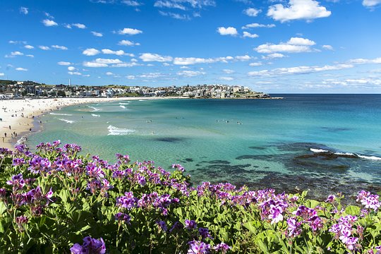 People watch on Bondi Beach