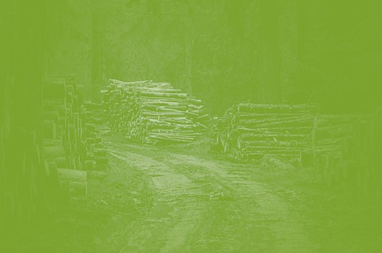The Maverick Kielder Forest Gravel 2026