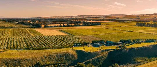  Savor the essence of New Zealand wine