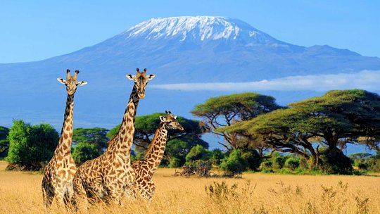 Kenya