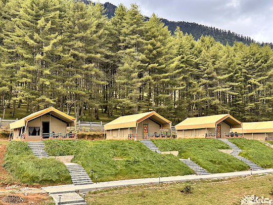 Gangtey Tented Resort, Phobjikha Valley