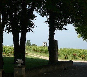vendange_3401