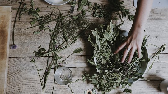 Grow Your Own Herbs