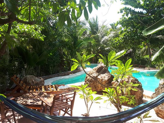 Mustapha's Place