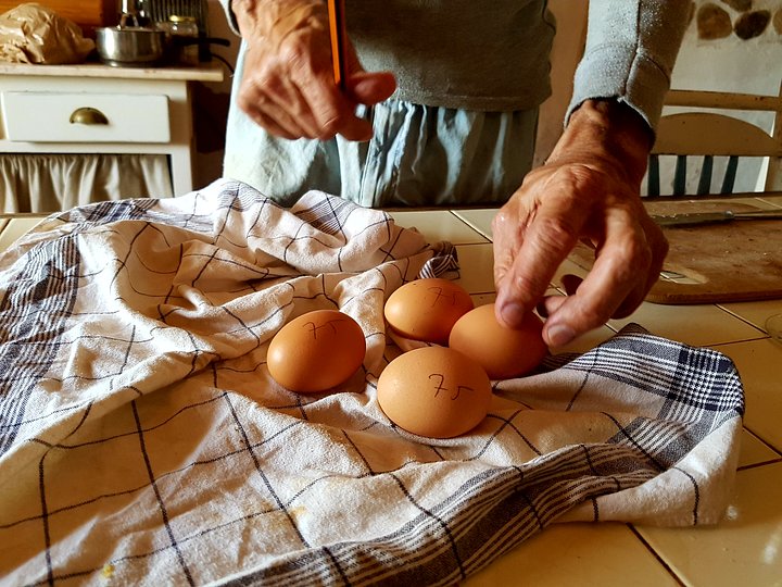 Farmtotableexperience