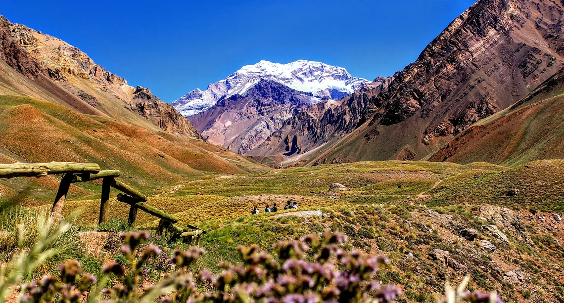 kookoomendozaargentinahead_1_compressed