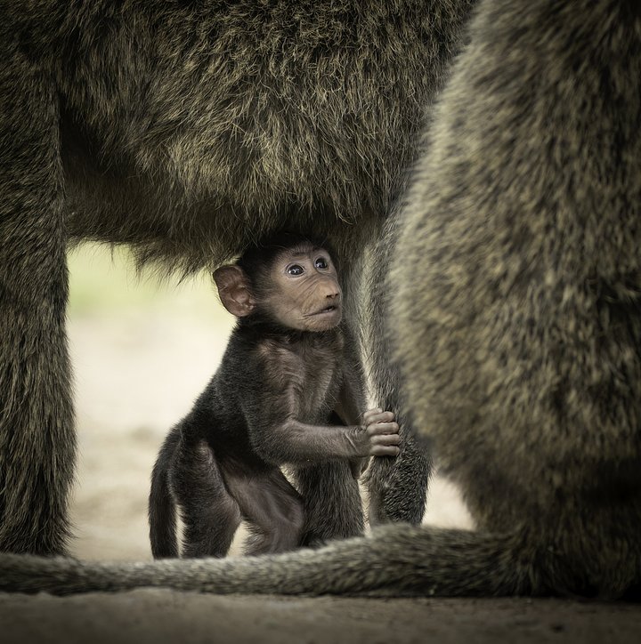 iStock2268634802