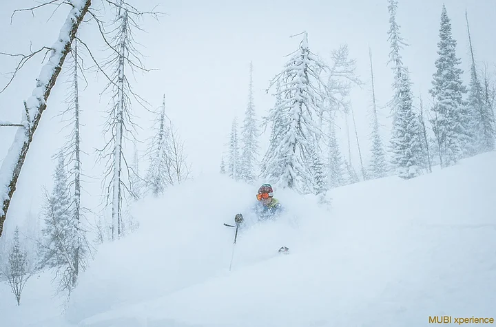 snowcatskifreeridekazakhstanaltai7