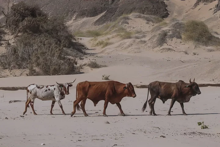 namibia4